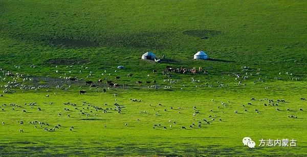 1643005452641001.jpg 【塞北風光】內(nèi)蒙古科爾沁國家級自然保護區(qū)2.jpg