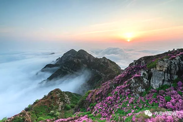 1643249433768031.png image.png