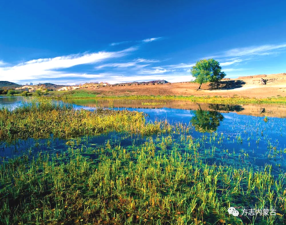 1643250945131475.png image.png