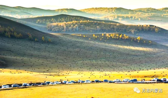 1644196823111568.png image.png