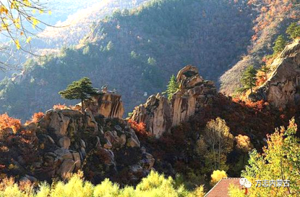 1650589951674781.png image.png