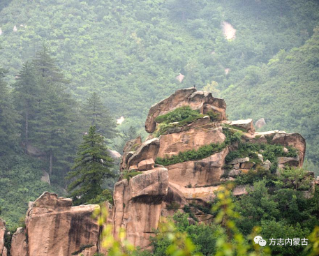 1650589959902333.png image.png