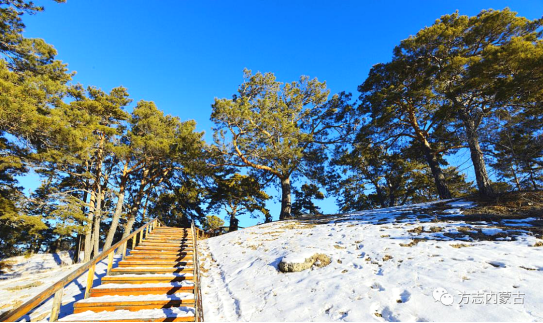 1652059194303201.png image.png