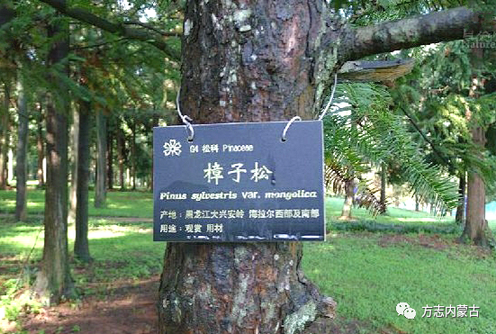 1652059214134689.png image.png