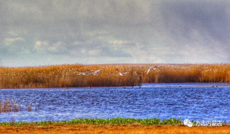 1654564456880903.png image.png