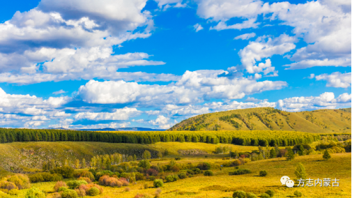 1655341690124581.png image.png