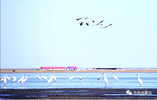 1657847585158873.png image.png