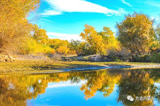 1660094922108018.png image.png