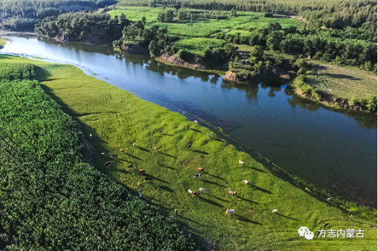 1661391516162057.png image.png