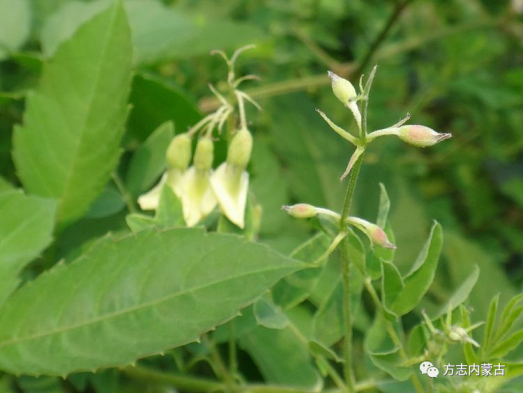 1661908917786750.png image.png