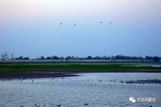 1662344424138897.png image.png