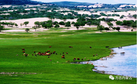 1663723352522319.png image.png