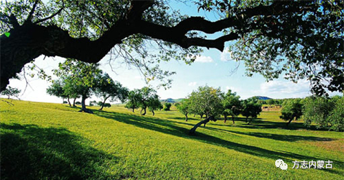 1663723360847898.png image.png