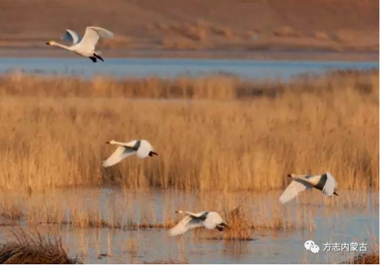 1665646701724741.png image.png