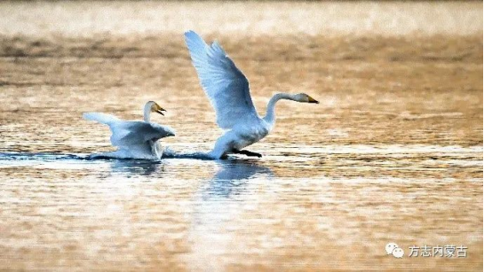 1665646712246141.png image.png