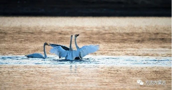 1665646718564490.png image.png