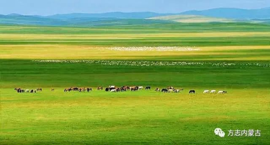 1668411889138562.png image.png