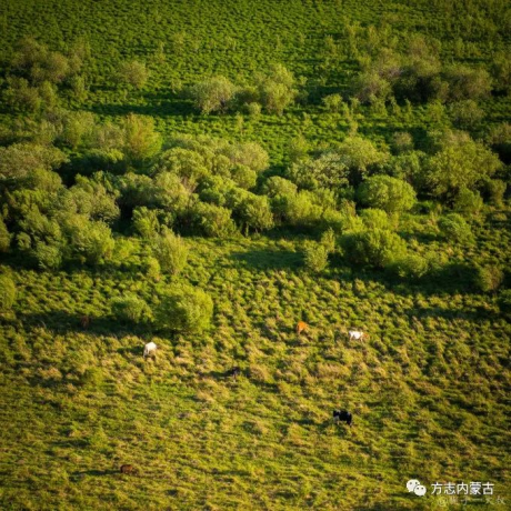 1669898457399464.png image.png