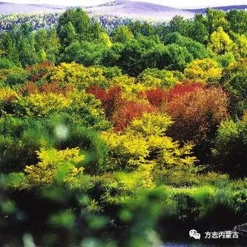 1669898463748796.png image.png