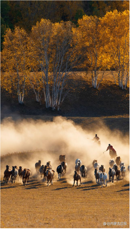 1688973846493101.png image.png