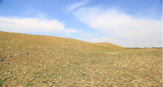 1703061586118436.png image.png