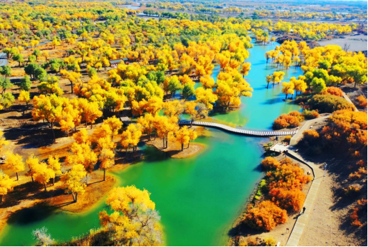 1703061595124228.png image.png