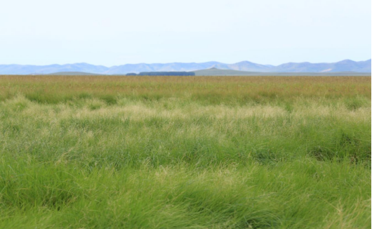 1703061602928152.png image.png