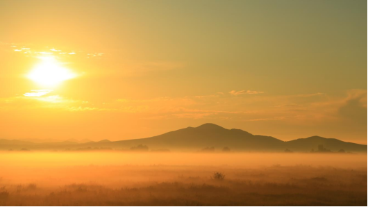 1703224189664582.png image.png