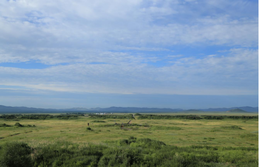 1703469798106572.png image.png