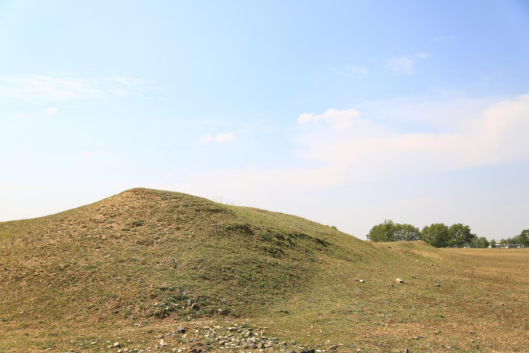 1703554352109098.png image.png