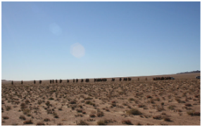 1713857276114602.png image.png