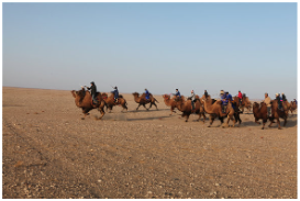 1713857307475931.png image.png