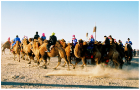 1713857317140503.png image.png