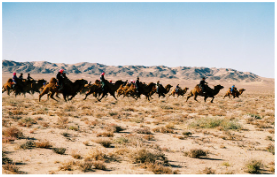 1713857335496156.png image.png