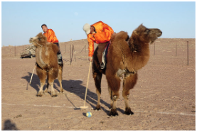 1713859185897341.png image.png