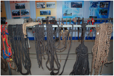 1716961109968860.png image.png