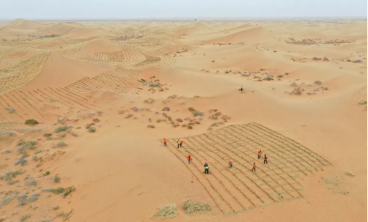 1717724484178926.png image.png