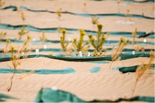 1717724498125902.png image.png