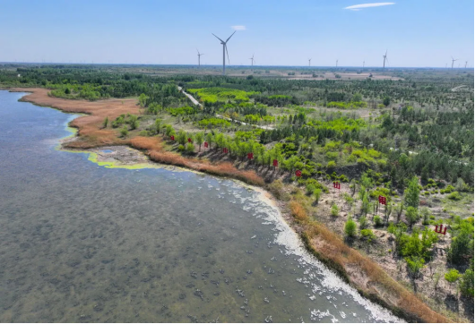 1717724544115764.png image.png