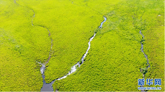 1721706127103766.png image.png