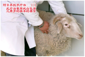 1724903552549989.png image.png