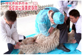 1724903559411728.png image.png