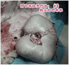 1724903565102148.png image.png