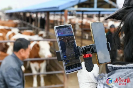 1728457157772850.png 1728376772110027.png