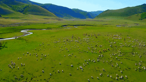 1728457343534712.png 1728376081148158.png