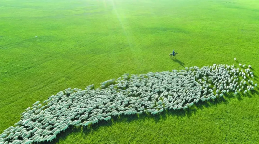 1728457360114851.png 1728376090800434.png