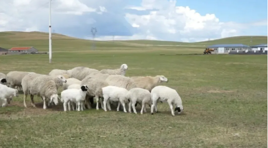 1728457451640915.png 1728376101559929 (1).png