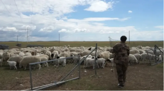 1728457525328332.png 1728376107131582.png