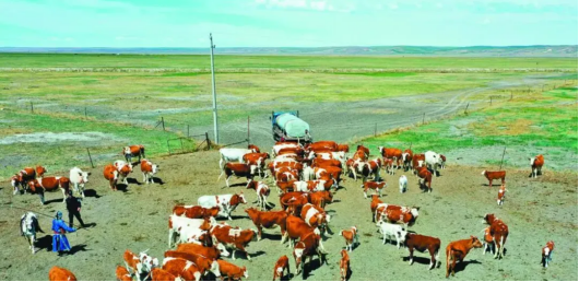 1728457561807835.png 1728376131443399.png