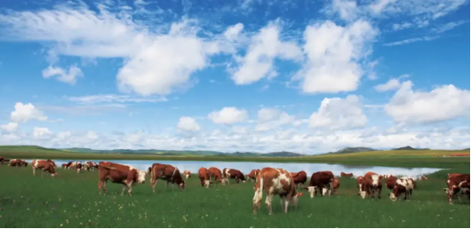 1728457604115510.png 1728376137272563.png